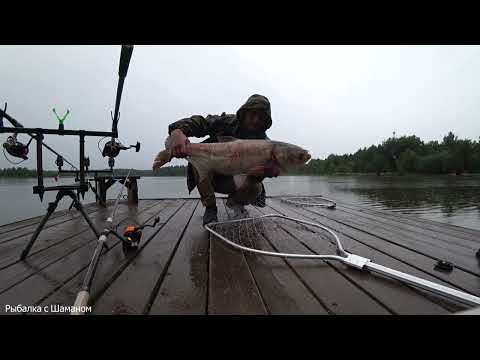 Видео: От таких ТОЛСТОЛОБОВ трясутся руки)))) За трофеями в "ОЗЁРНОЕ"