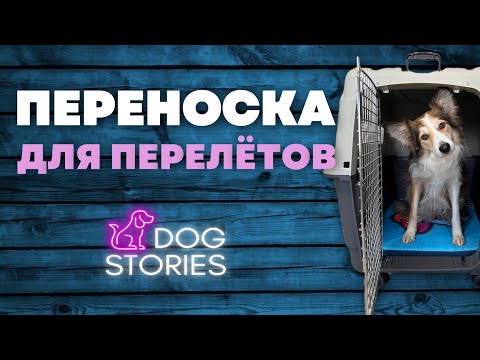 Видео: Переноска для собаки 🐕 Как выбрать клетку для перевозки щенка 🐩 Распаковка бокса для перелета Triol🐾