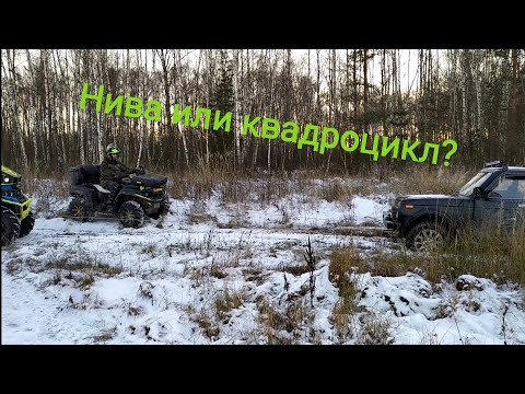 Видео: Нива или квадроцикл | КВАДРОДВОР
