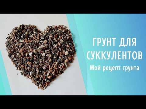 Видео: Грунт для суккулентов 🌱 Во что я сажаю эхеверии и другие растения.