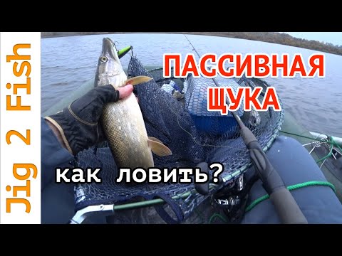 Видео: Ловля пассивной ЩУКИ! 5 принципов!