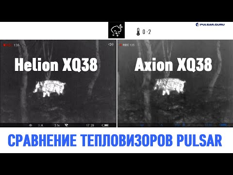 Видео: Сравнение тепловизоров Pulsar Axion XQ38 и Pulsar Helion XQ38 в осеннем лесу.