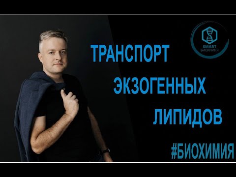Видео: Биохимия: Транспорт экзогенных липидов