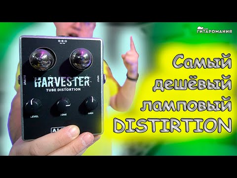 Видео: Самый дешёвый ламповый звук Harvester Tube Distortion