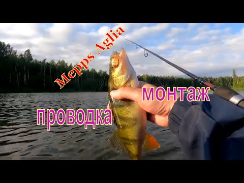 Видео: ЩУКА ОКУНЬ НА MEPPS AGLIA / ПРОВОДКА x ТАКТИКА ЛОВЛИ В ЖАБОВНИКЕ