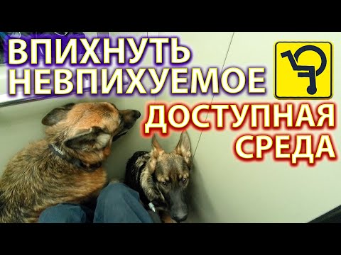 Видео: О доступности для инвалидов,♿ или как впихнуть невпихуемое.