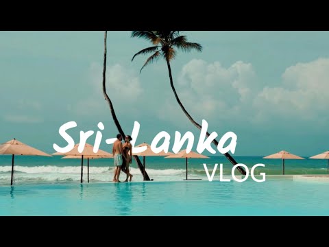 Видео: 1.Первый влог Шри-Ланка: лучшие отели Хиккадувы и Галле.Почему сюда хочется вернуться?
