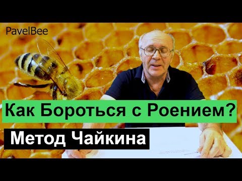 Видео: № 129 Как Бороться с Роением, Метод Чайкина | Пчеловодство для начинающих | Пасека