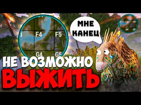 Видео: Жёсткий челлендж за амаргозавра