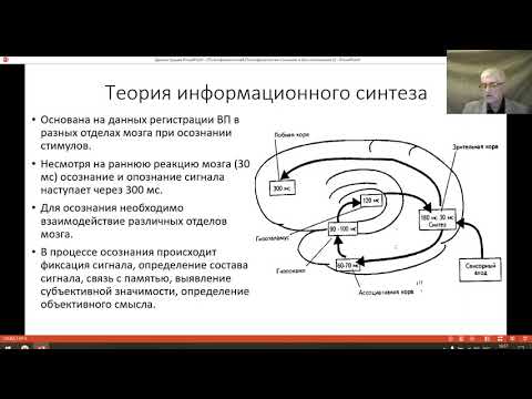 Видео: Психофизиология 6, Сознания и бессознательного. Хандожко И И ,МГОУ