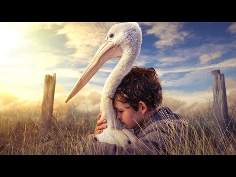 Видео: БЕЗУМНО ТРОГАТЕЛЬНЫЙ ФИЛЬМ ДЛЯ ВСЕЙ СЕМЬИ! НЕОБЫКНОВЕННАЯ ИСТОРИЯ! Мой друг мистер Персиваль