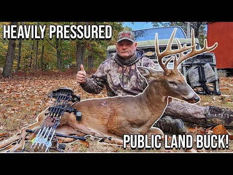 Видео: Охота с луком на общественных землях, находящихся под сильным давлением! Охота с луком на обществ...