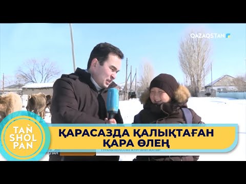 Видео: Қарасазға сапар: Мұқағали туған ауыл тұрғындары ақын өлеңдерін жатқа біледі
