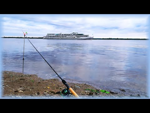Видео: РЫБАЛКА НА ВОЛГЕ. Хорошее начало