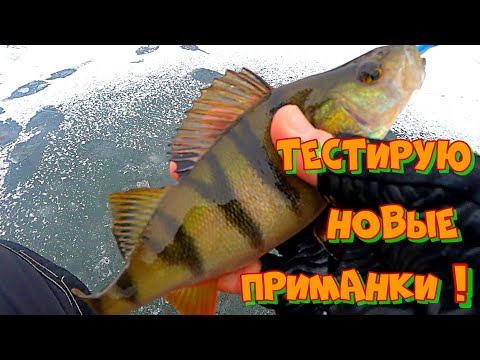 Видео: Ловля ОКУНЯ и ЩУКИ зимой на МИКРОН и ВИБЫ ! Зимняя рыбалка на БАЛАНСИР .