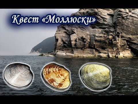 Видео: Квест Моллюски. Русская Рыбалка.