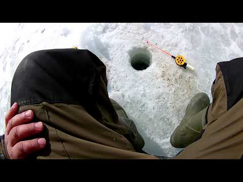Видео: Рыбалка на Жостовском карьере 23.03.2019