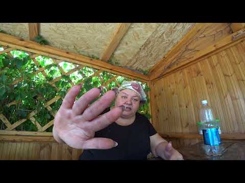 Видео: ЧИТАЮ КОММЕНТАРИИ/Я ТОЖЕ ВЫСКАЖУСЬ ПОТЕРПИТЕ/КАКОВ ПРИВЕТ ТАКОВ ОТВЕТ/БАССЕЙН/ДАЧА/ПОРАБОТАЛИ /УЖИН