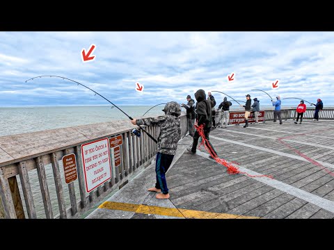 Видео: Рыбалка на краю этого пирса в заливе, когда все стало безумным!