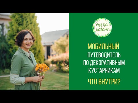 Видео: Мобильный путеводитель по декоративным кустарникам. Что внутри?