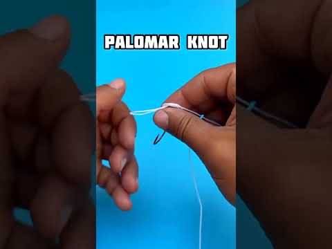 Видео: Palomar knot вузол паломар #shorts