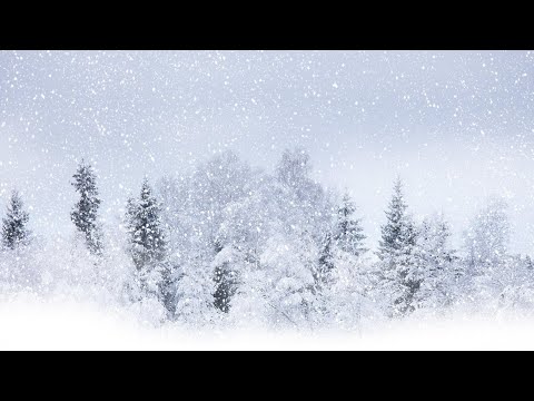Видео: интересные стихи часть 77