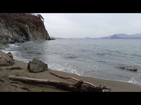 Видео: Ул.Aстафьева на связи в прямом эфире!