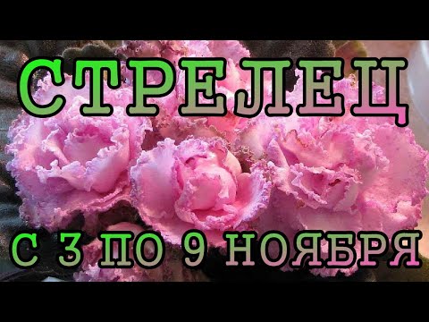 Видео: СТРЕЛЕЦ таро прогноз на неделю с 3 по 9 НОЯБРЯ 2025 года