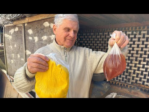 Видео: Весенняя подкормка пчёл - когда, чем и как правильно?