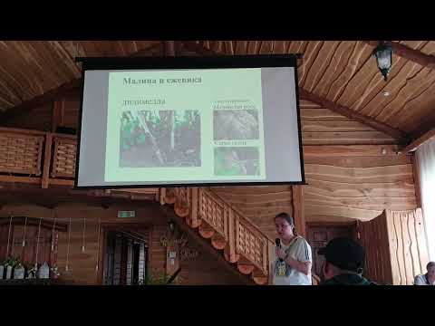 Видео: Эффективность применения биопрепаратов на основе живых культур микроорганизмов