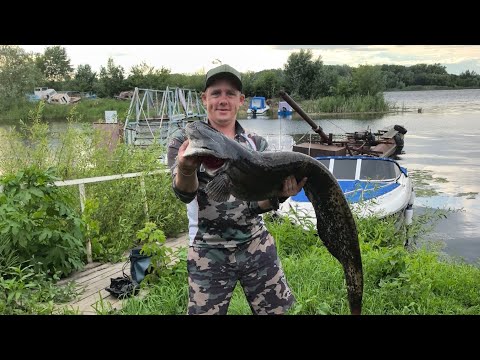 Видео: Открытие по СОМУ 2025💪 Буйный усатый извивается как аллигатор