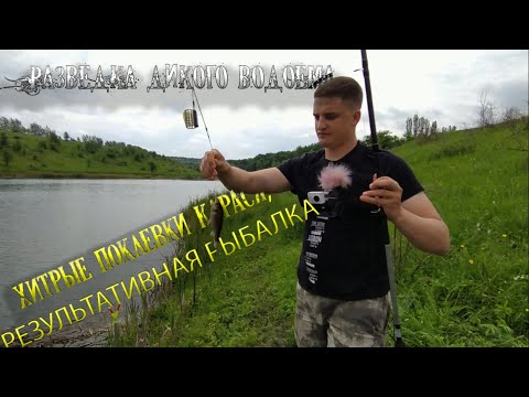 Видео: РЫБАЛКА НА КАРАСЯ хитрые поклевки,мощный клёв ПРУД С БОЛЬШИМ КОЛИЧЕСТВОМ РАКОВ (Воронежская область)