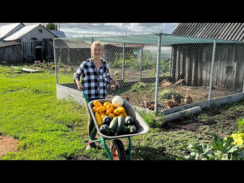 Видео: ВЫХОДНЫЕ В ДЕРЕВНЕ/МАРИНУЮ ОГУРЦЫ,ДЕЛЮСЬ РЕЦЕПТОМ/ СОБИРАЮ УРОЖАЙ ЛУКА/ МАМА В ГОСТЯХ