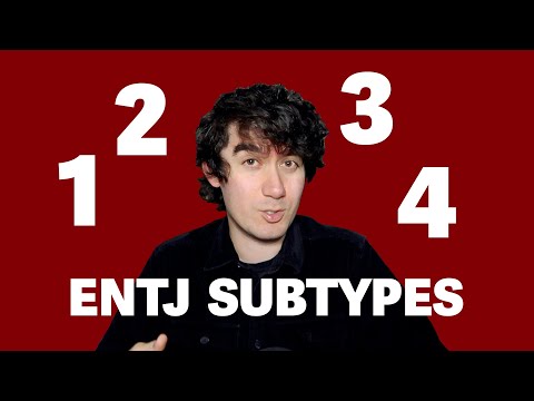 Видео: 4 подтипа ENTJ
