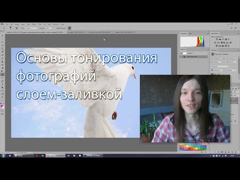 Видео: Основы тонирования фотографий при помощи слоя-заливки и режимов наложения - Стив Ласмин