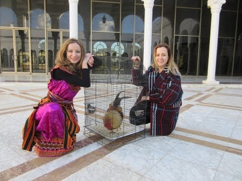 Видео: Берберский Новый год / Nouvel An berbère