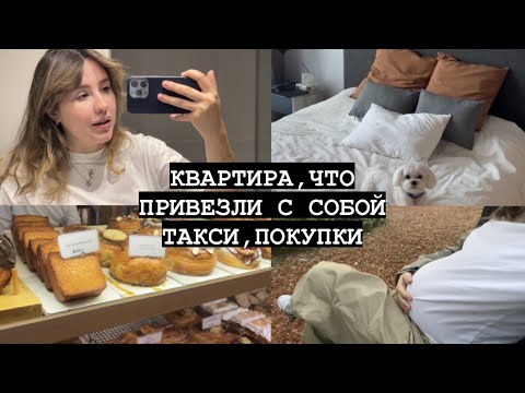Видео: КВАРТИРА | что привезли с собой ,такси/покупки