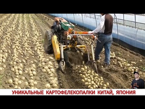 Видео: УНИКАЛЬНЫЕ КАРТОФЕЛЕКОПАЛКИ КИТАЙ , ЯПОНИЯ  ПОДБОРКА/ HOW POTATOES ARE DIGGED IN CHINA AND JAPAN