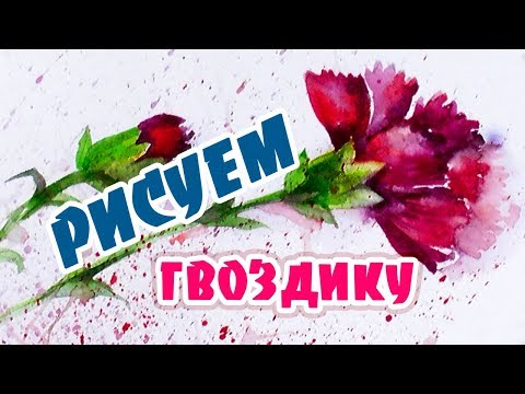 Видео: Как нарисовать гвоздики. Акварель. Как нарисовать открытку на 9 Мая.