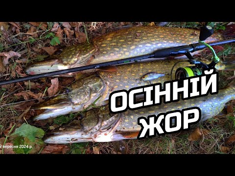 Видео: ✅️📣ОСІННІЙ ЖОР ЩУКИ!!!📣✅️ 🔥🔥🔥Воблер Select Reflex 70SP 🔥🔥🔥