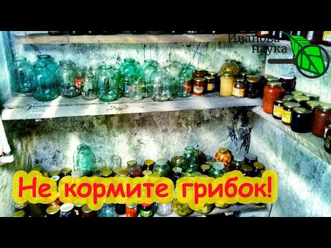 Видео: КАК ИЗБАВИТЬСЯ ОТ ПЛЕСЕНИ НАВСЕГДА. Настоящая причина грибка. Натуральное средство от грибка.