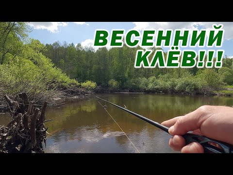 Видео: РЕЧКА СНОВА РАЗДАЁТ!!! РЫБАЛКА НА СПИННИГ!!!