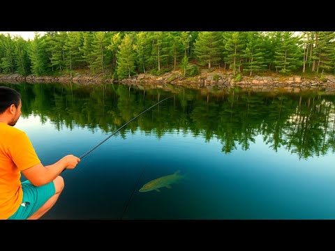 Видео: Цей ранок ми не забудемо. Поповнення в таборі і перший трофей з човна