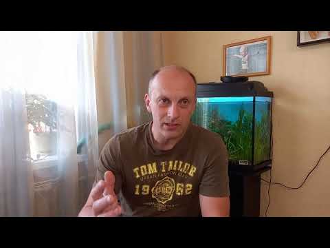 Видео: Технический обзор Yamaha YZ450f 2018+. Взгляд внутрь двигателя.