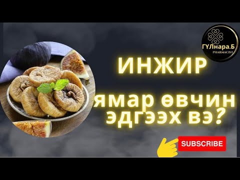 Видео: Инжир/Инжир жимс эрүүл мэндийн ач тус/