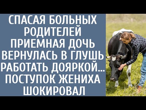 Видео: Спасая больных родителей приемная дочь вернулась в глушь работать дояркой… Поступок жениха шокировал