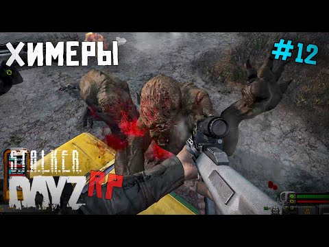 Видео: ТИХАЯ ДЕРЕВНЯ И ХИМЕРЫ. DAYZ STALKER RP 12 серия