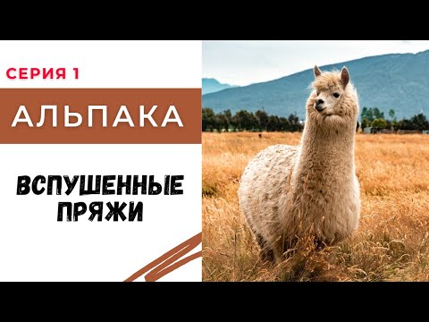 Видео: Как работать со вспушенными пряжами. Вспушенная альпака