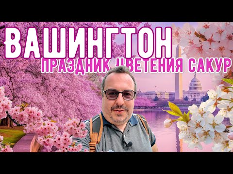 Видео: Вашингтон. Прогулка по центру во время праздника цветения сакур.