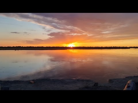 Видео: ВОТ ЭТО РЫБАЛКА! АМУР ЧУТЬ НЕ ВЫРВАЛ УДОЧКУ ИЗ РУК!  река Или, Миялы, Июнь 2023